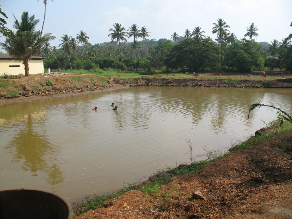 indian-fish-farming